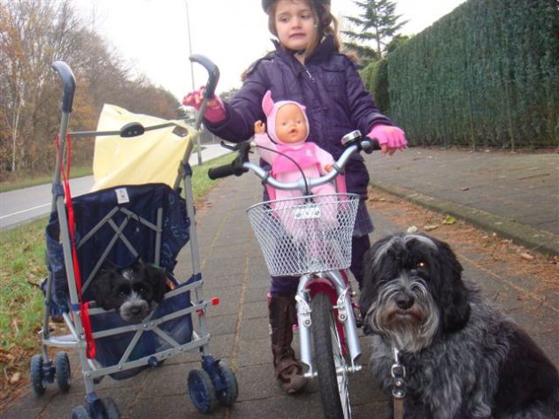 Kylie, Balou en Happy